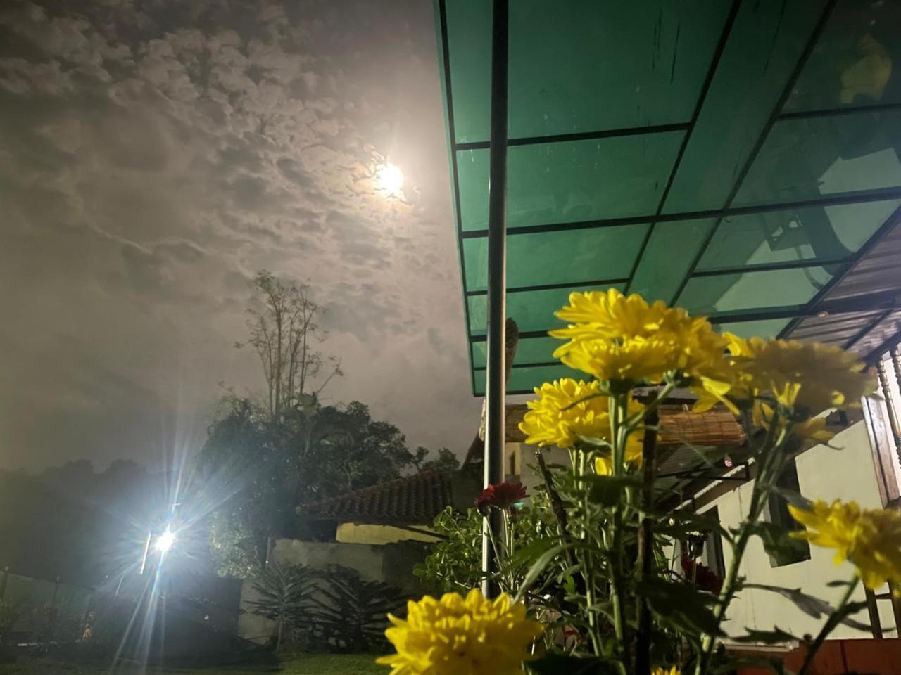 Lake Classical Guest House Kandy Ngoại thất bức ảnh