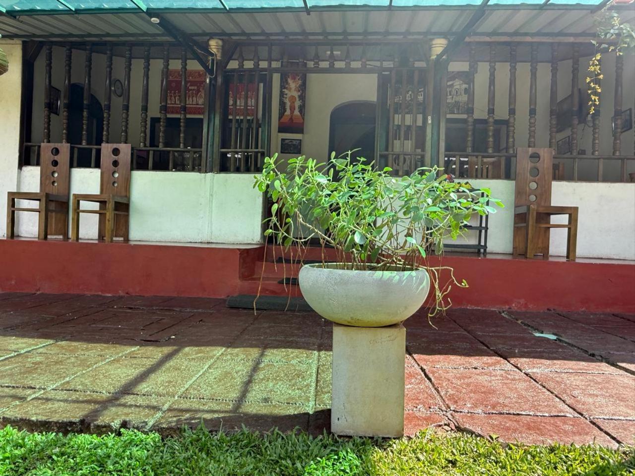 Lake Classical Guest House Kandy Ngoại thất bức ảnh